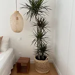 ホームステイ 671 *